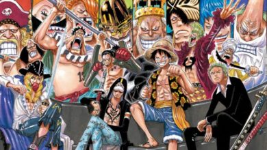 One Piece Arcs, Sagas & Fillers - The Complete Guide (2022)