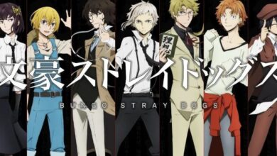 bungou stray dogs watch order