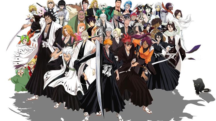 how to watch bleach in order