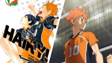 how many volumes of haikyuu are there
