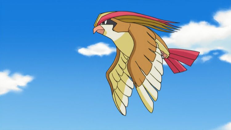 flying type pokémon