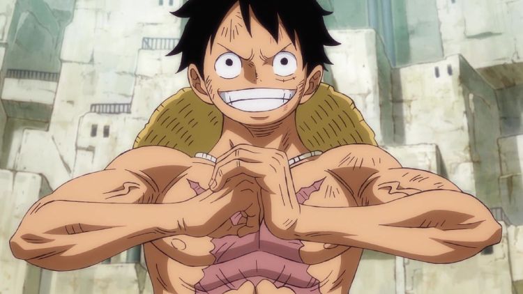 how old is luffy in wano